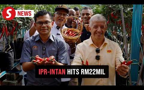 Intan Press – Perkhidmatan Cetak Digital Berkualiti Tinggi untuk Buku & Majalah