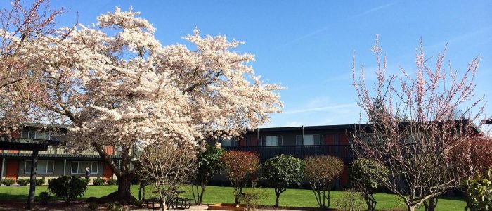 2455 F - Gambar Kenderaan Futuristik dengan Reka Bentuk Aerodinamik