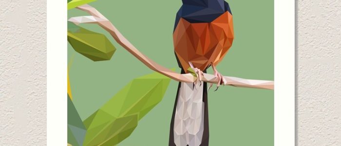 Murai Print – Perkhidmatan Cetakan Berkualiti Tinggi, Reka Bentuk Kreatif & Harga Berpatutan