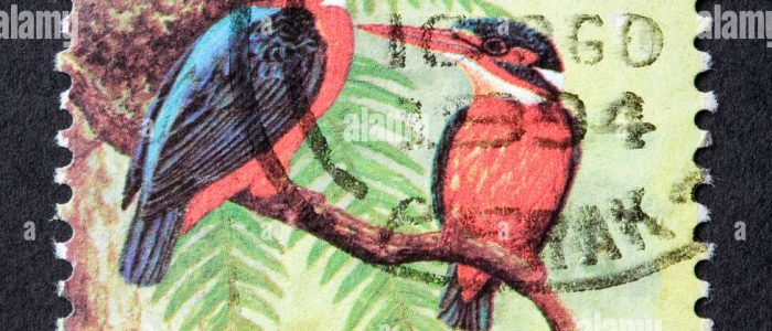 Cetak Malaysia Penghantaran Percuma – Rekabentuk Kreatif & Berkualiti